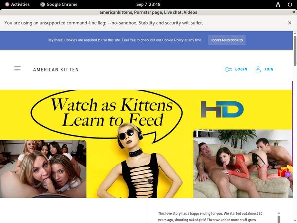 Americankittens Casting