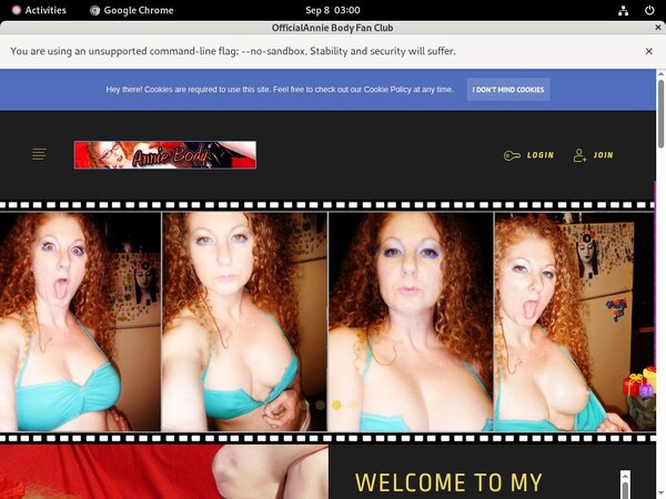 AnnieBody Updates