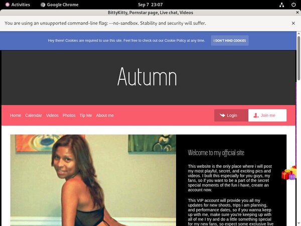 BittyKitty Site Rip Url