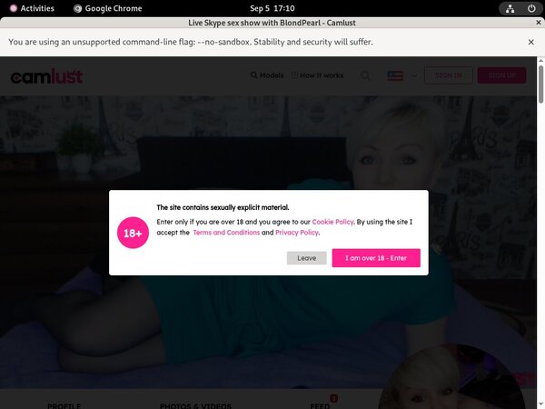 Camlust.com Password Username
