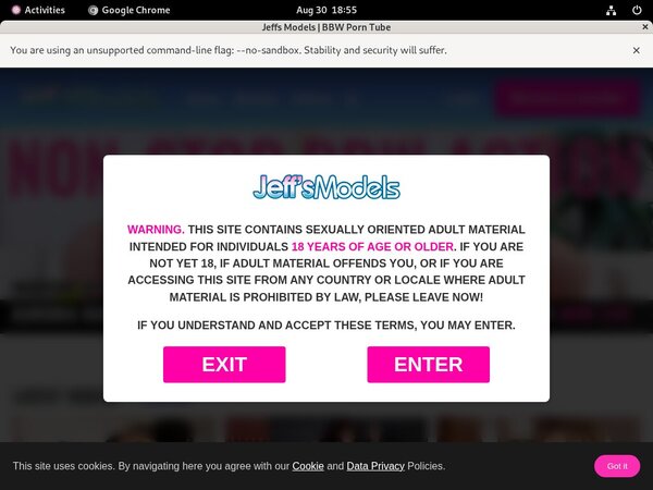 Daily Jeffsmodels Account