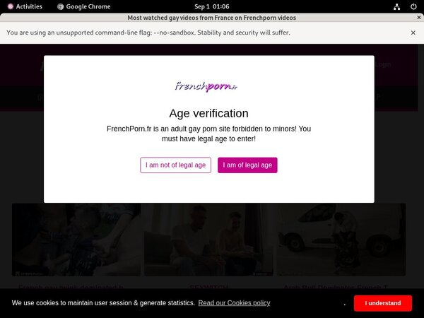 Discount Frenchporn.fr Trial Membership