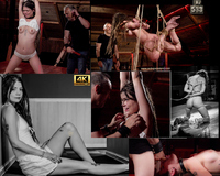 Discounted Subspace Land Membership s1