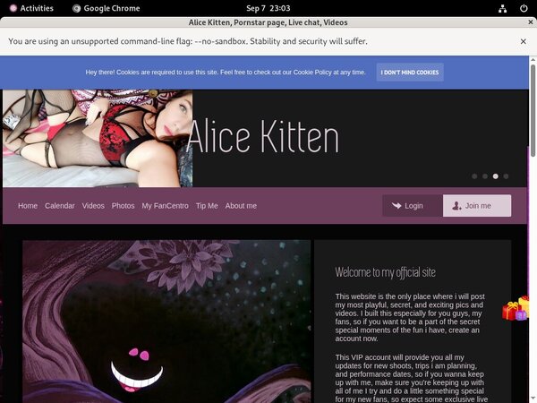 Free Alice Kitten Account Discount
