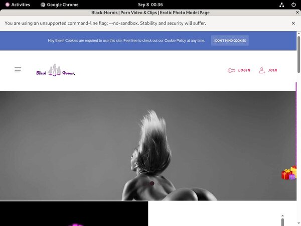 Free Black-hornis.net Trial Access