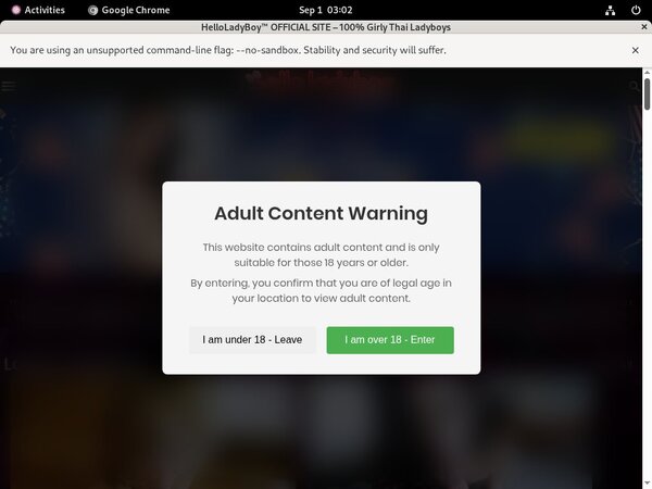 Free Helloladyboy.com Username