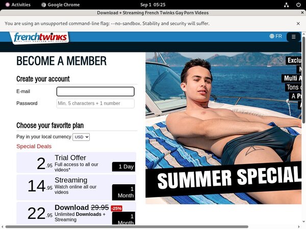 French Twinks Discounted Membership