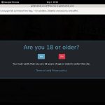 Girls In Steel $1 Porn Trial