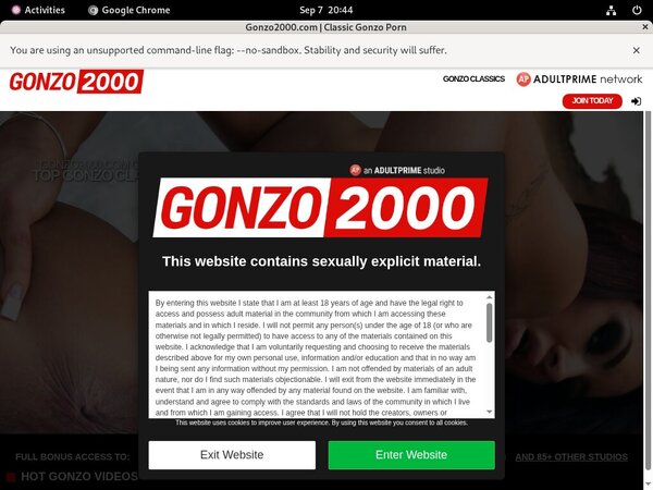 Gonzo2000.com Archives