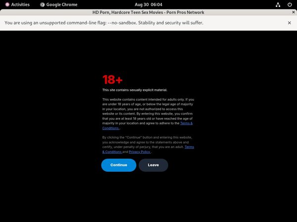 Hd Pornprosnetwork Free