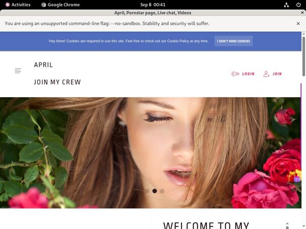 How To Get Free Ladyapril Accounts