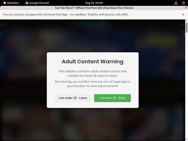 How To Get Into Tuktukpatrol.com