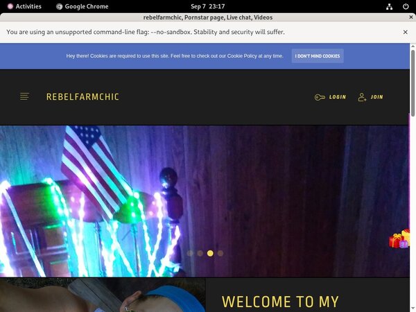 How To Get Rebelfarmchic.modelcentro.com For Free