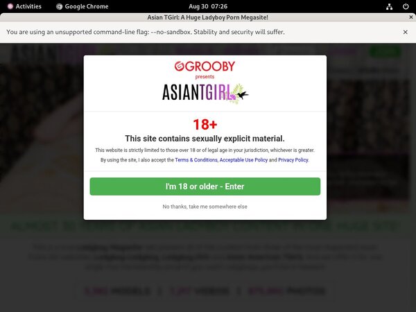 Ladyboy-ladyboy.com Models