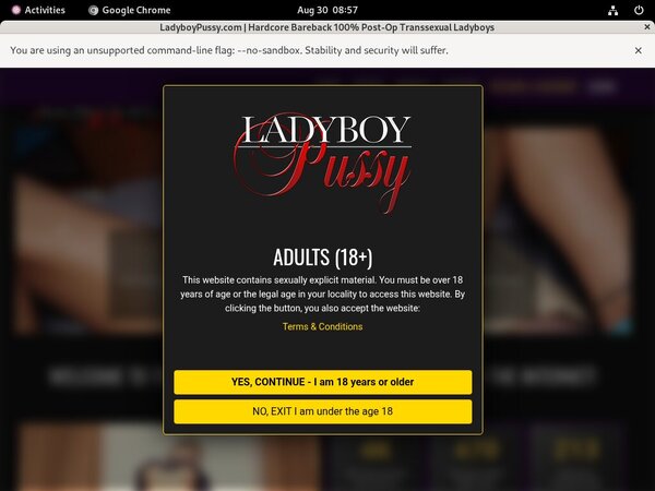 Ladyboypussy With Paypal