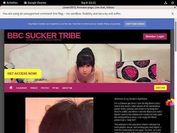 Linxer2013.modelcentro.com Free Trial Password