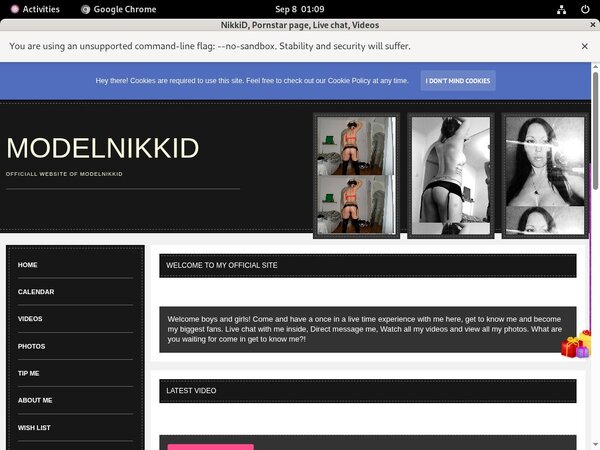 ModelNikki 