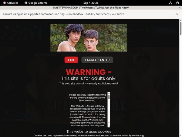 Nastytwinks Movies