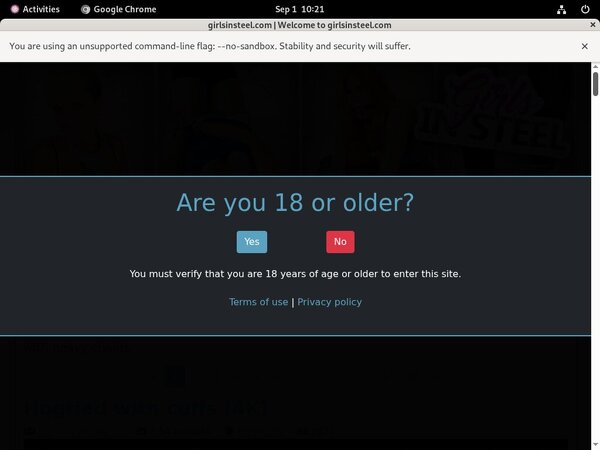 New Girlsinsteel Site Rip