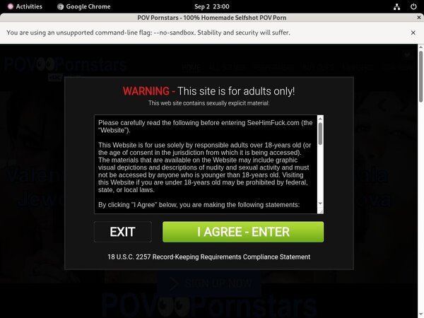 Premium Accounts POV Pornstars