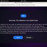 Premium VR Porn Site Rip