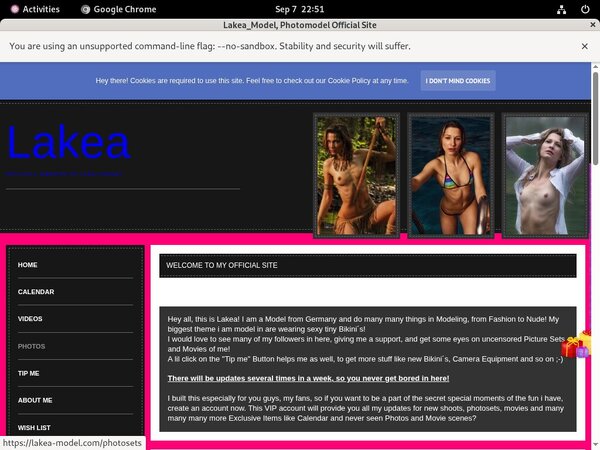 Save On Lakea_Model Trial