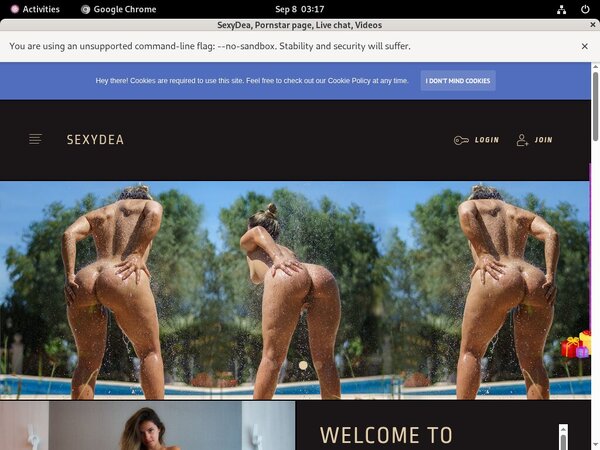 Sexydea.xxx Webcams