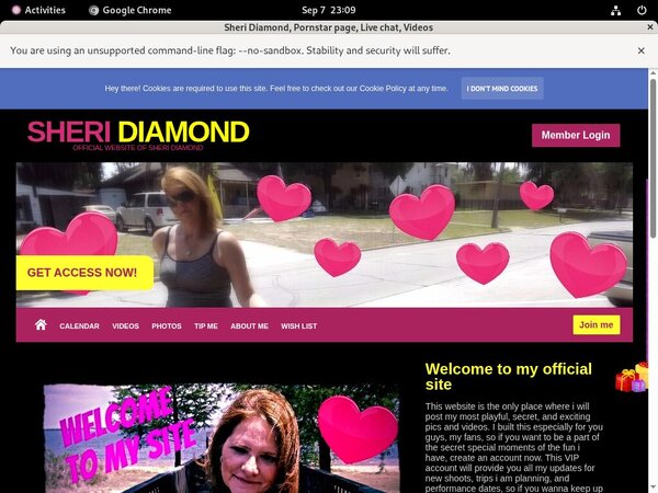 Sheri Diamond Search
