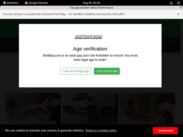 Sketboy.com Password And Account