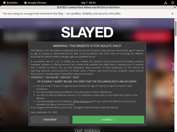 Slayed.com Cams
