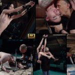 Subspace Land Videos Gratis