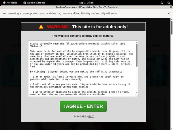 Swallowsalon Redtube
