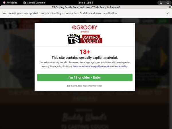 TS Casting Couch Gay Sex