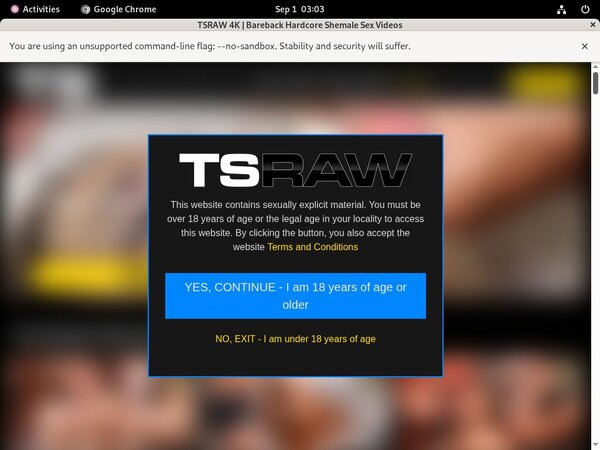 TS Raw Free Premium Account
