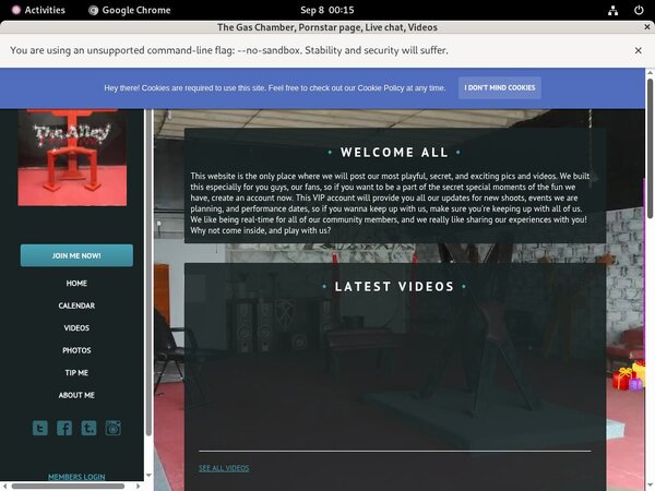Thealleywynwood.modelcentro.com Order Page