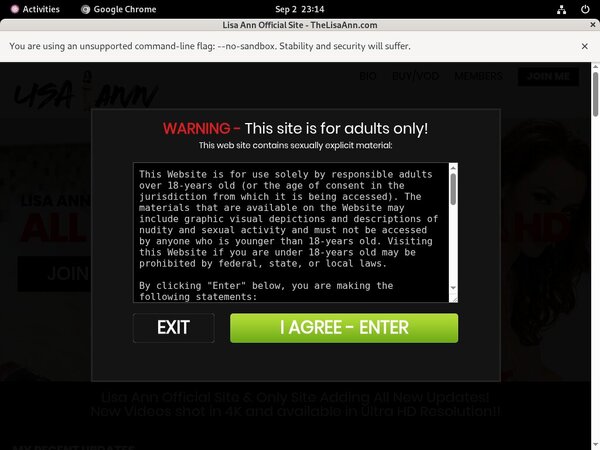 Thelisaann.com Segpayeu Com