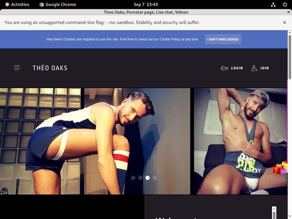 Theooaks.modelcentro.com Online