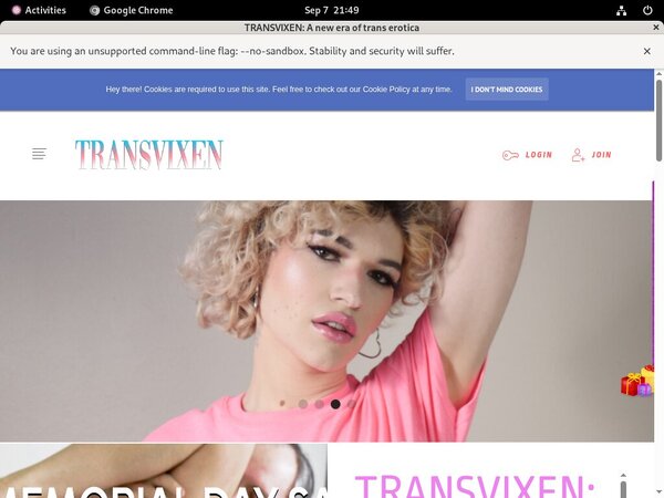 Transvixen Paypal