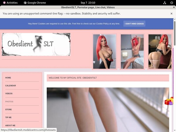 Trial 0bedientslt.modelcentro.com Account