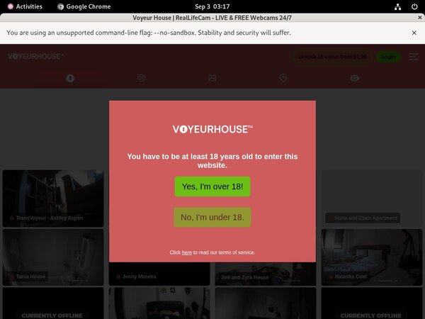 Voyeurhouse.com Payment Page