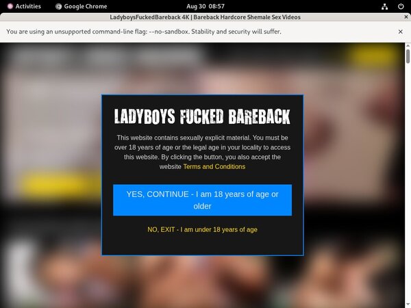 Watch Ladyboysfuckedbareback.com Free