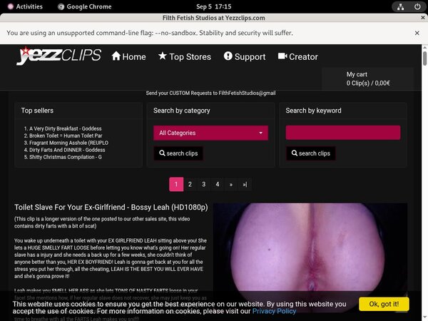 What Is FilthFetishStudios