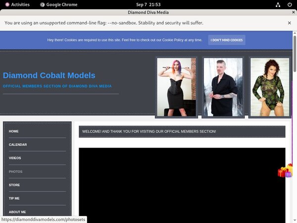 Who Is DiamondDivaMedia