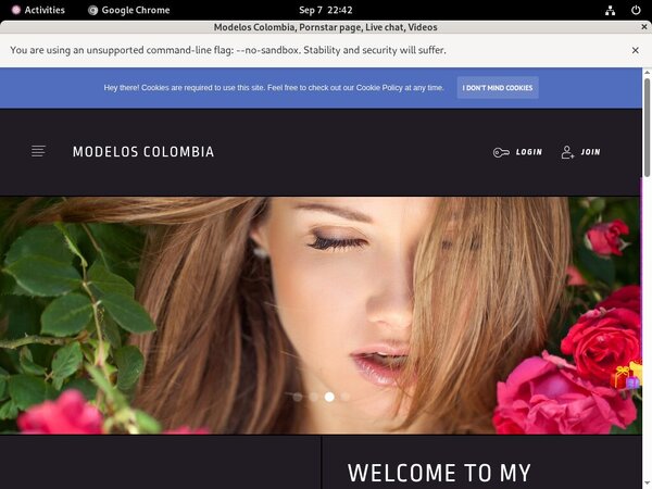 Working Modelos Colombia Account
