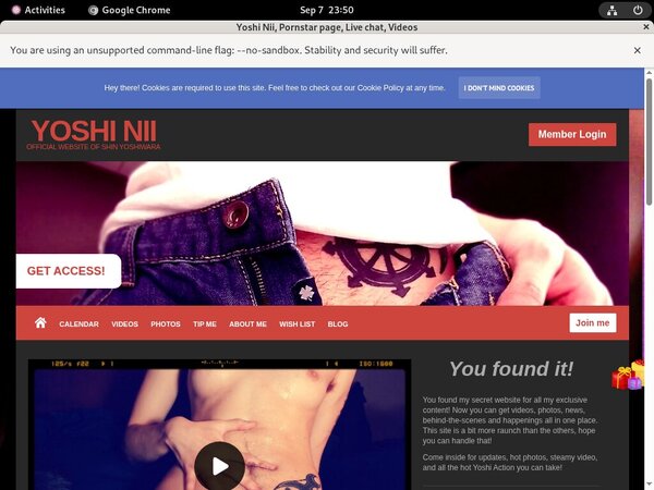 YoshiNii Site Rip Dl