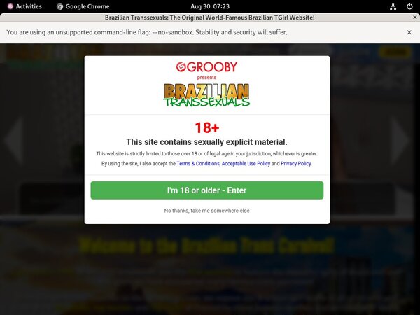 ?sex Brazilian Transsexuals