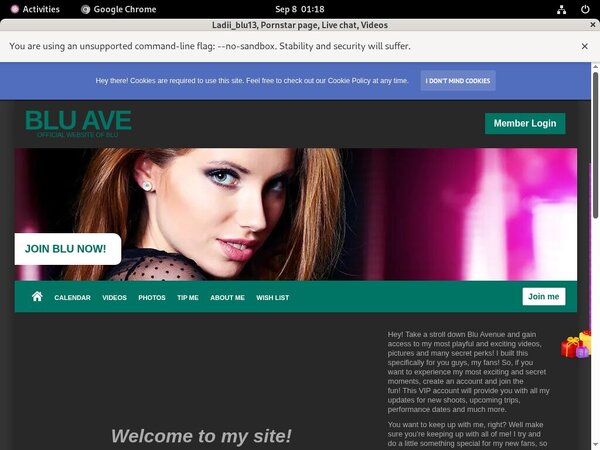 Ladiiblu13.modelcentro.com Deals