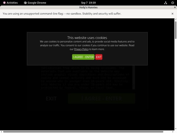 Premium Hollyshunnies Password