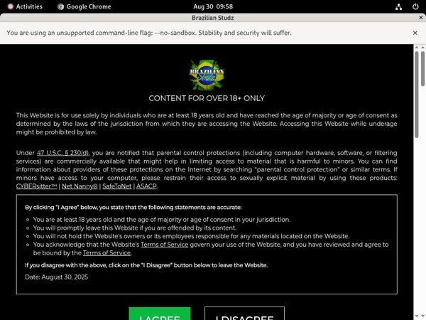 Brazilian Studz Password Site