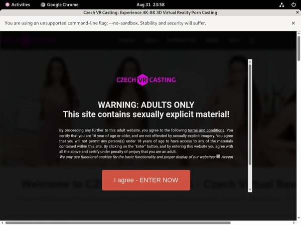Czechvrcasting Account Share
